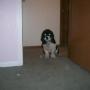 Susan Vann Photo 15