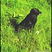 Julie Black Photo 16