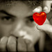 Diane Hope Photo 15