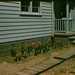 Wilma Rhoades Photo 6