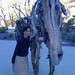 Deborah Swank Photo 7