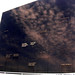 Rick Chaffee Photo 20