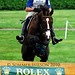 Peter Atkins Photo 36