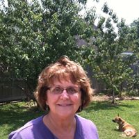 Judy Wall Photo 17