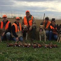 Craig Paulson Photo 7