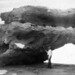 Robert Riggs Photo 29
