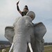 Julie Cline Photo 12