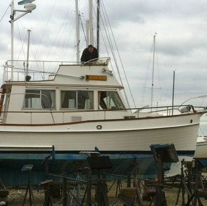 Thomas Mcdaid Photo 14