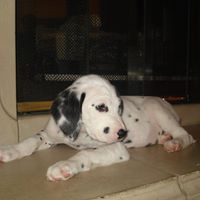Tobey Johnson Photo 18