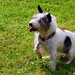 Emma Small Photo 15