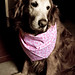 Tammy Weeks Photo 27