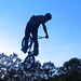 Glenn Squires Photo 24