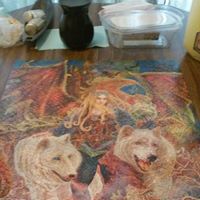 Debbie Holmes Photo 27