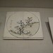 Gao Yang Photo 22