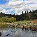 Dawn Williamson Photo 17