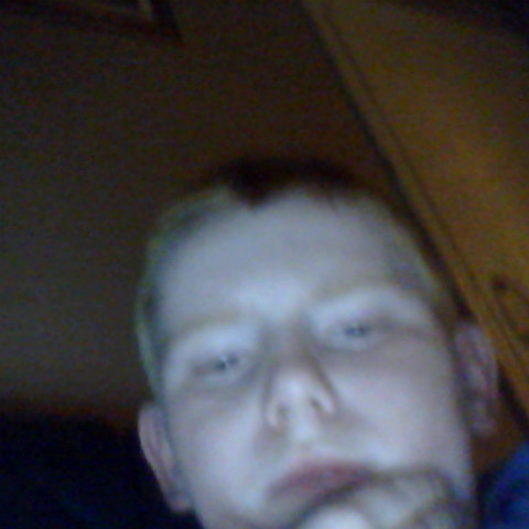 Harry Locke Photo 6