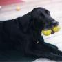 Jeanne Lang Photo 20