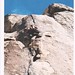 Joshua Carson Photo 35