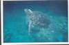 Alok Chowdhury Photo 21