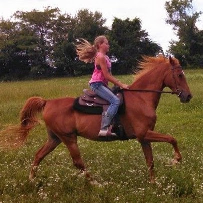 Michele Barker Photo 33