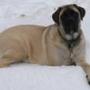 Stephen Hutchins Photo 41