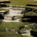 Glen Brown Photo 38