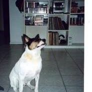 Rosemarie Goodwin Photo 9