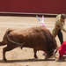 Julio Benitez Photo 2