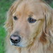 Terri Olson Photo 12