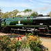 Mark Sinclair Photo 20