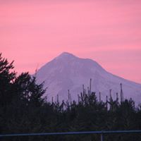 Jane Mcclain Photo 8