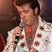 Peter Irwin Photo 38