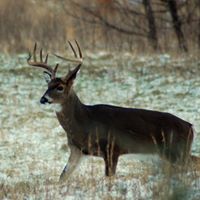 Mark Baize Photo 15
