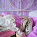 Melissa True Photo 15