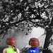 Rebecca Wilks Photo 7