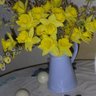 Janet Wilcox Photo 27