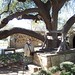 Connie Wells Photo 41