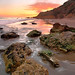 Robin Pacheco Photo 17