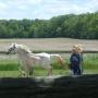 Susan Mcneal Photo 7