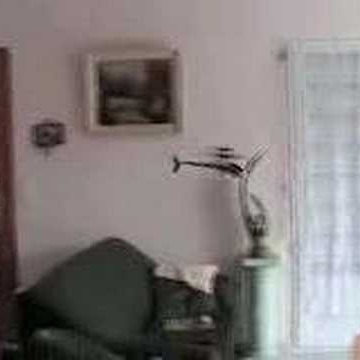 David Goldberger Photo 17