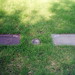 Christine Joseph Photo 15