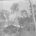 Frank Fraser Photo 21
