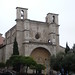 Juana Quinones Photo 7