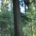 Douglas Danforth Photo 5