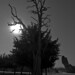 Jesus Rosales Photo 38