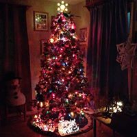 Debbie Whittaker Photo 8