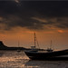 Dawn Shields Photo 10