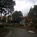 Misty Werner Photo 17