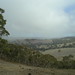 Coleen Roberts Photo 7