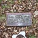 Melvin Clark Photo 41